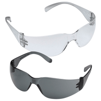 ProVision Econo Wrap Protective Eyewear - Palmero 565-3601C