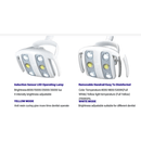 Dent33 Dental Chair Operatory Package